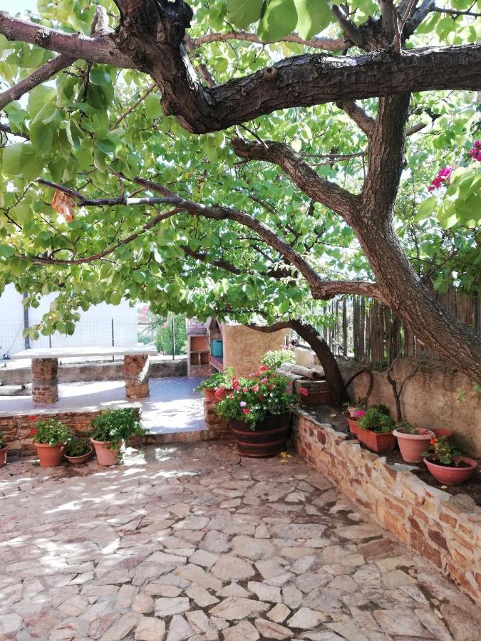 Villa Le Ginestre Ла-Калетта Екстер'єр фото